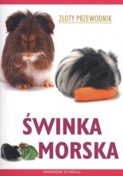 winka morska. Złoty przewodnik